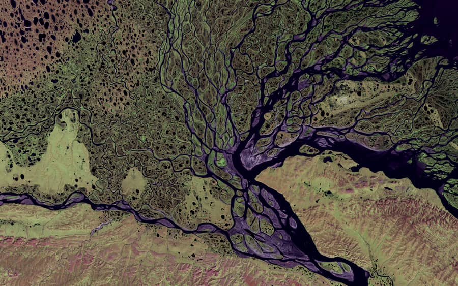 False-colour land-cover classification of a river delta.